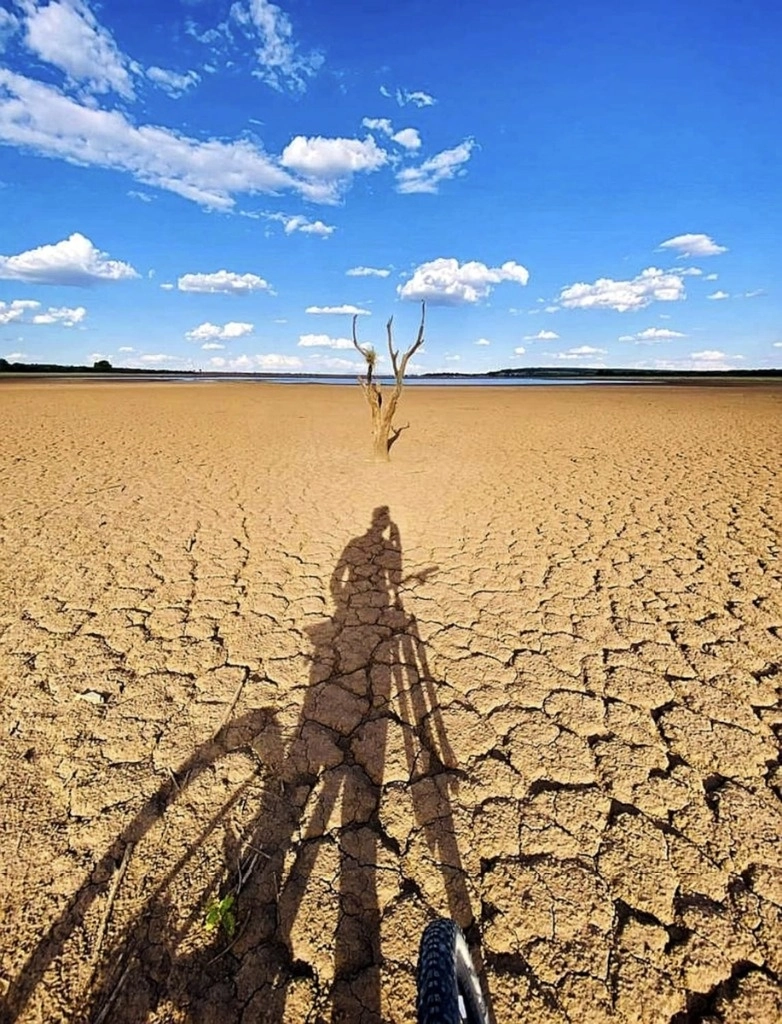 Sufre Zacatecas la peor crisis agropecuaria por la sequía