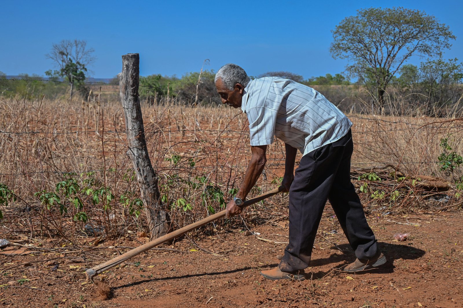 Agricultores de Brasil resisten a la desertificación de sus tierras