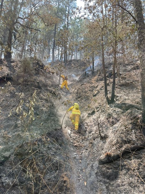 Activan Alerta Atmosférica en Zapopan por incendio forestal