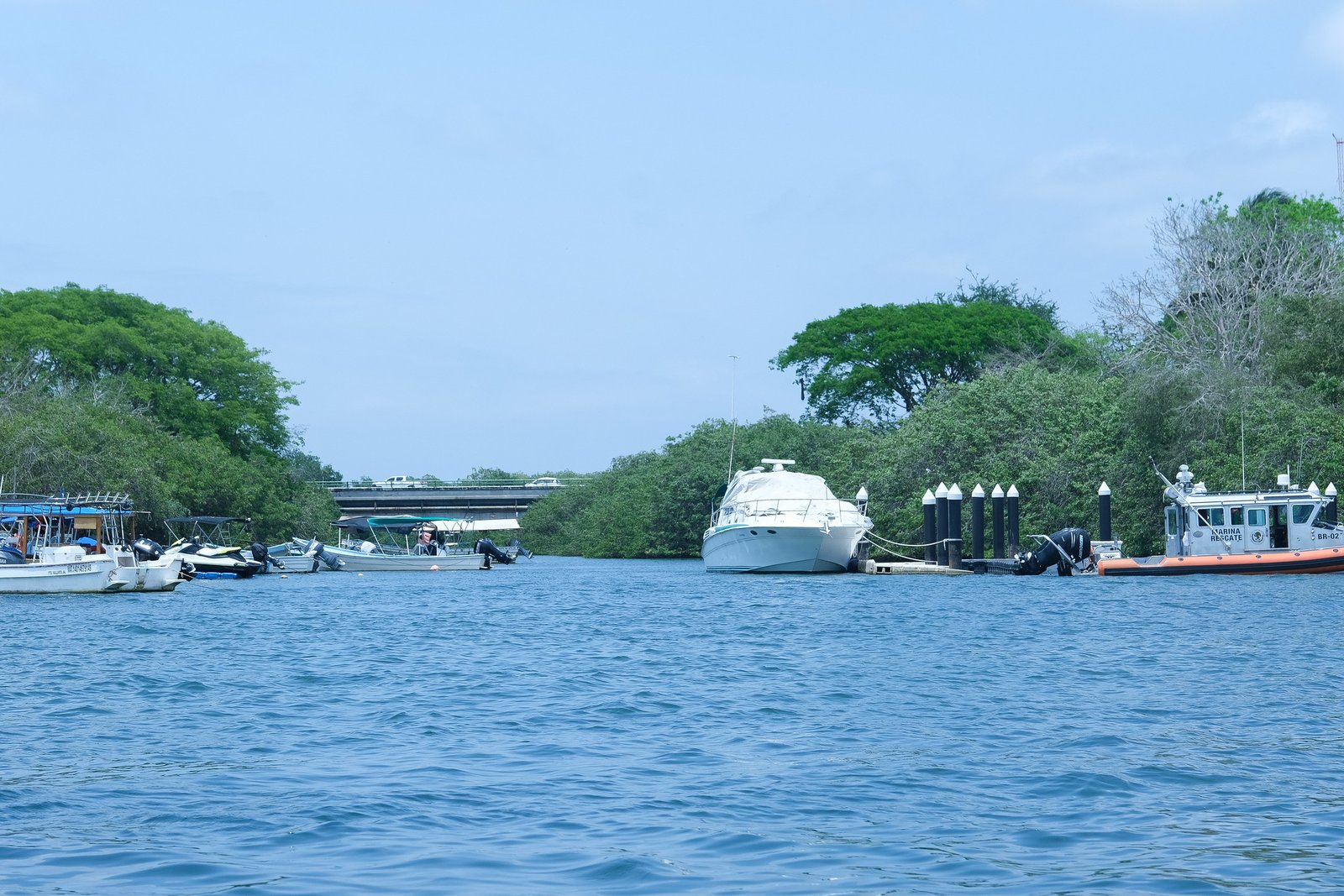 Anuncian Patrulla Cocodrilo en Vallarta 
