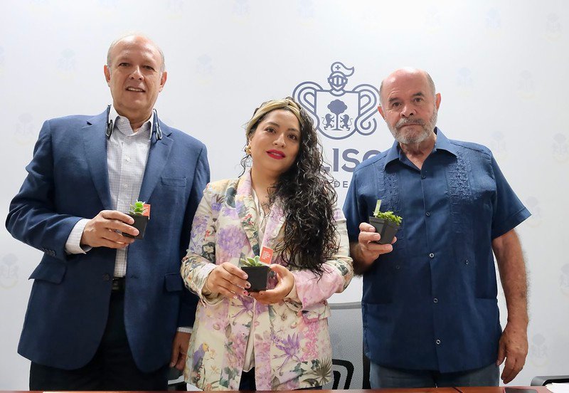 SADER anuncia el primer Festival de Las Flores 