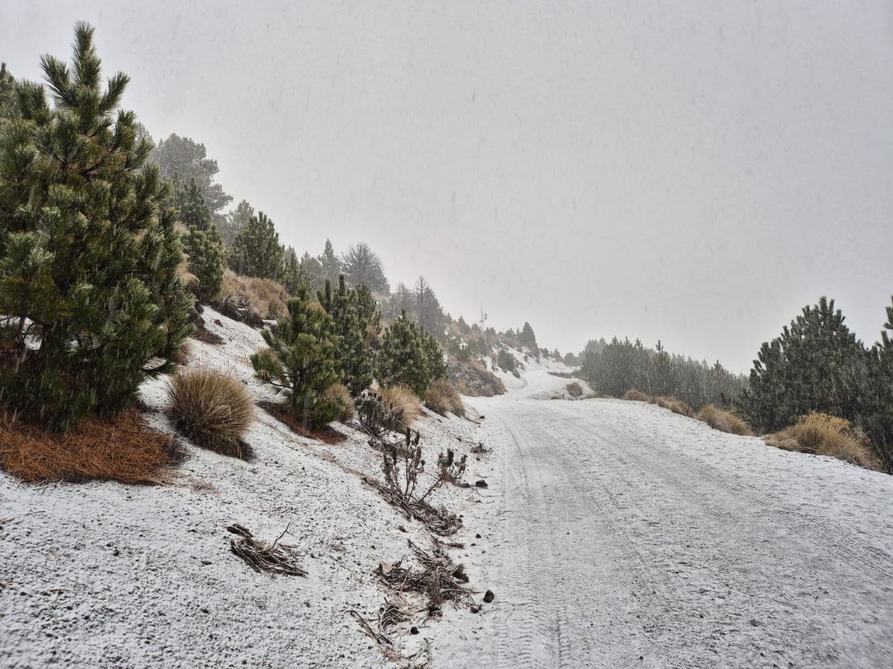 Activan operativo en Nevado de Colima tras caída de nieve