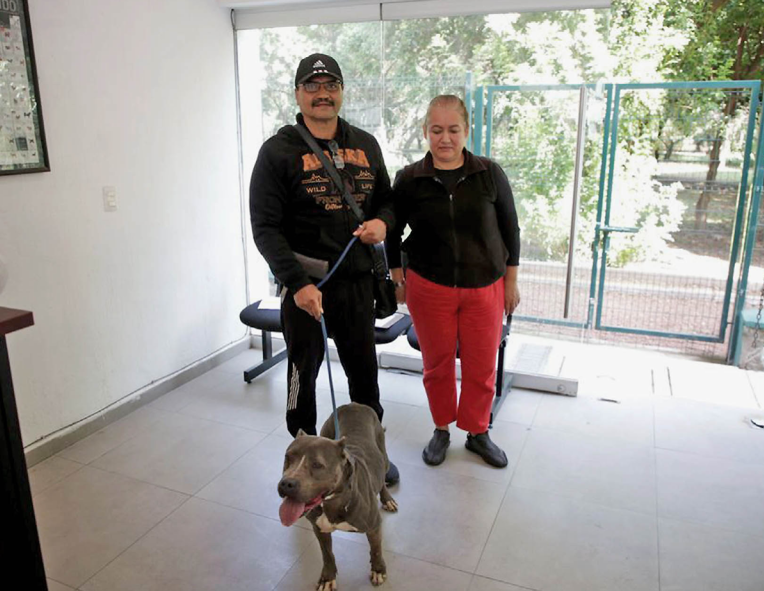 Impulsan vacunación y esterilización de mascotas 