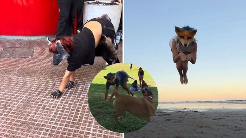 Therian: qué son y por qué se volvieron tendencia en México