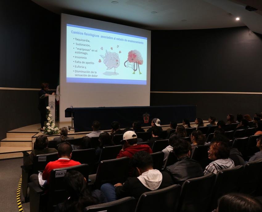 “Tormenta neuroquímica” altera el cerebro durante el enamoramiento