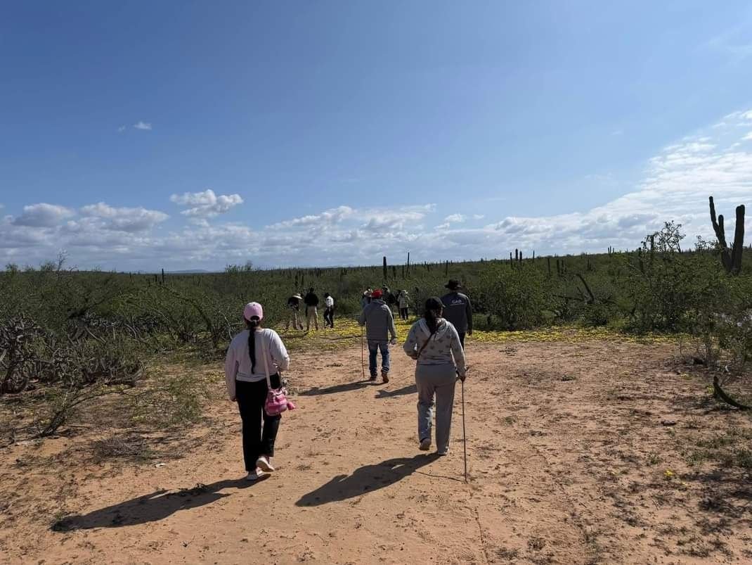 Hallan cinco fosas clandestinas en Comondú