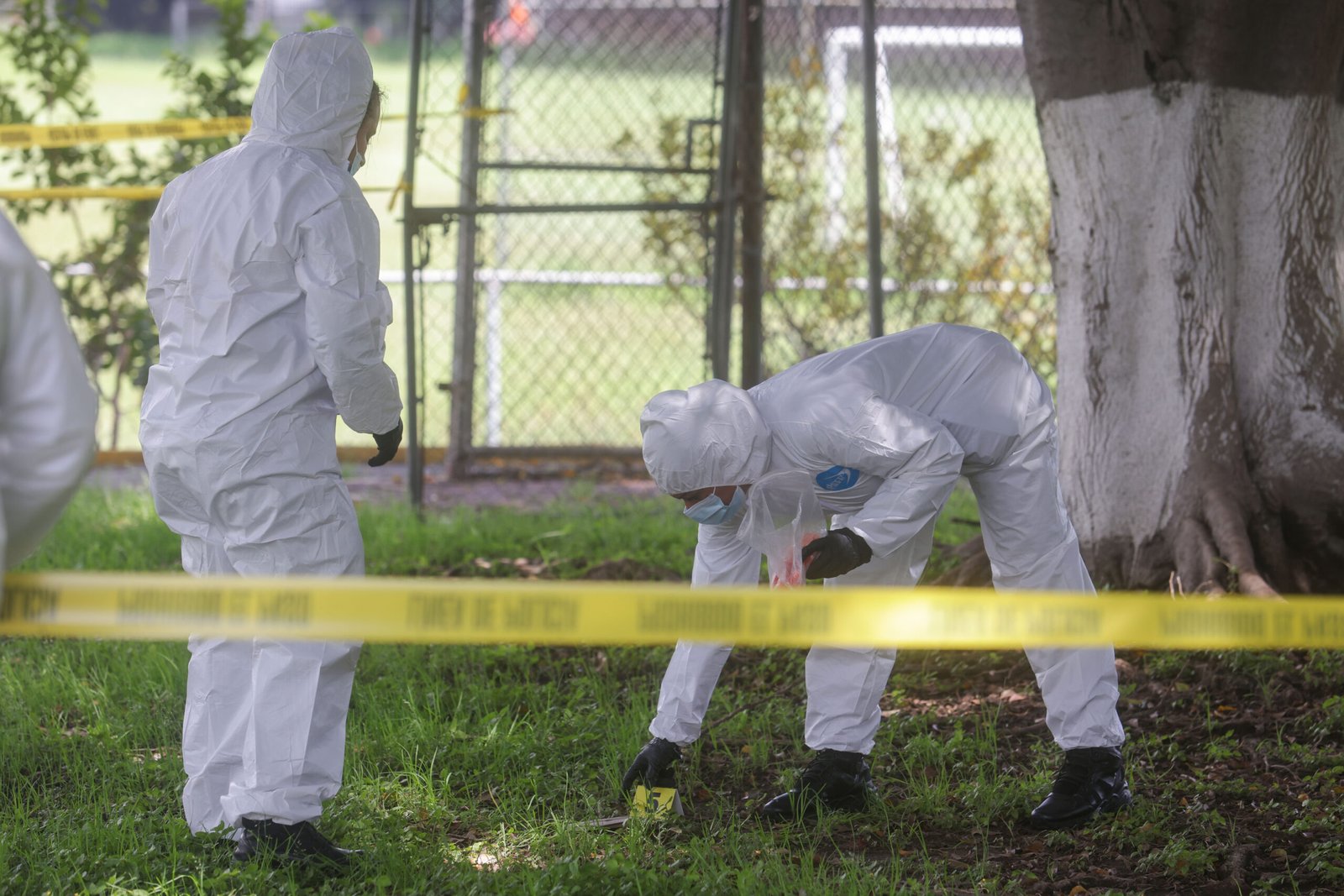 IJCF abre convocatoria en dictaminación pericial 