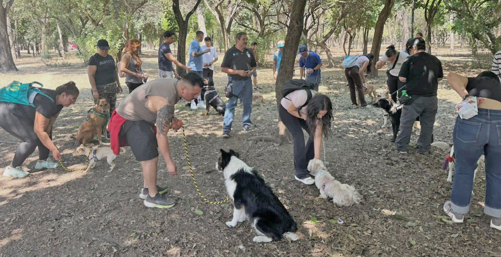 Promueven en GDL adopción y adiestramiento responsable