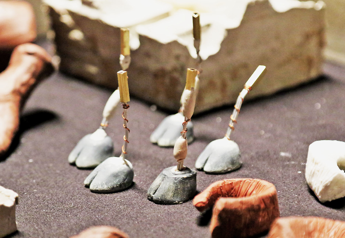 “Monstruo” gana convocatoria de Fotogramas Vivos