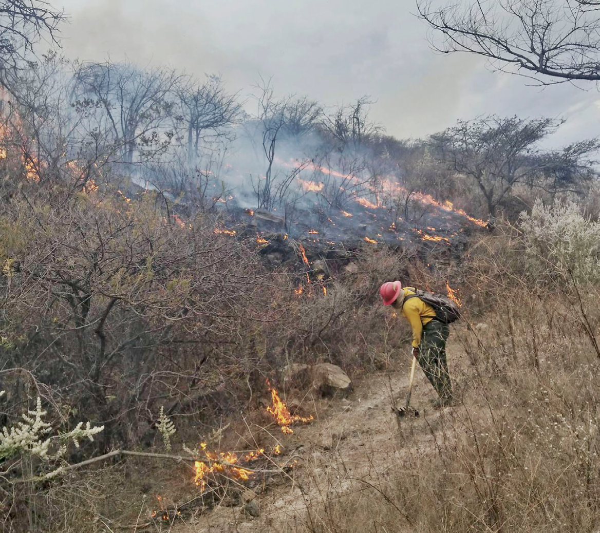 Incendio forestal afecta Bosque La Primavera