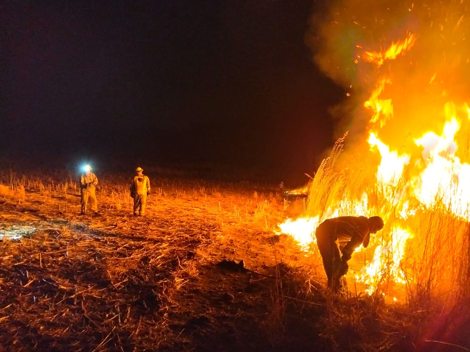 Tlajomulco refuerza vigilancia para prevenir incendios forestales y urbanos