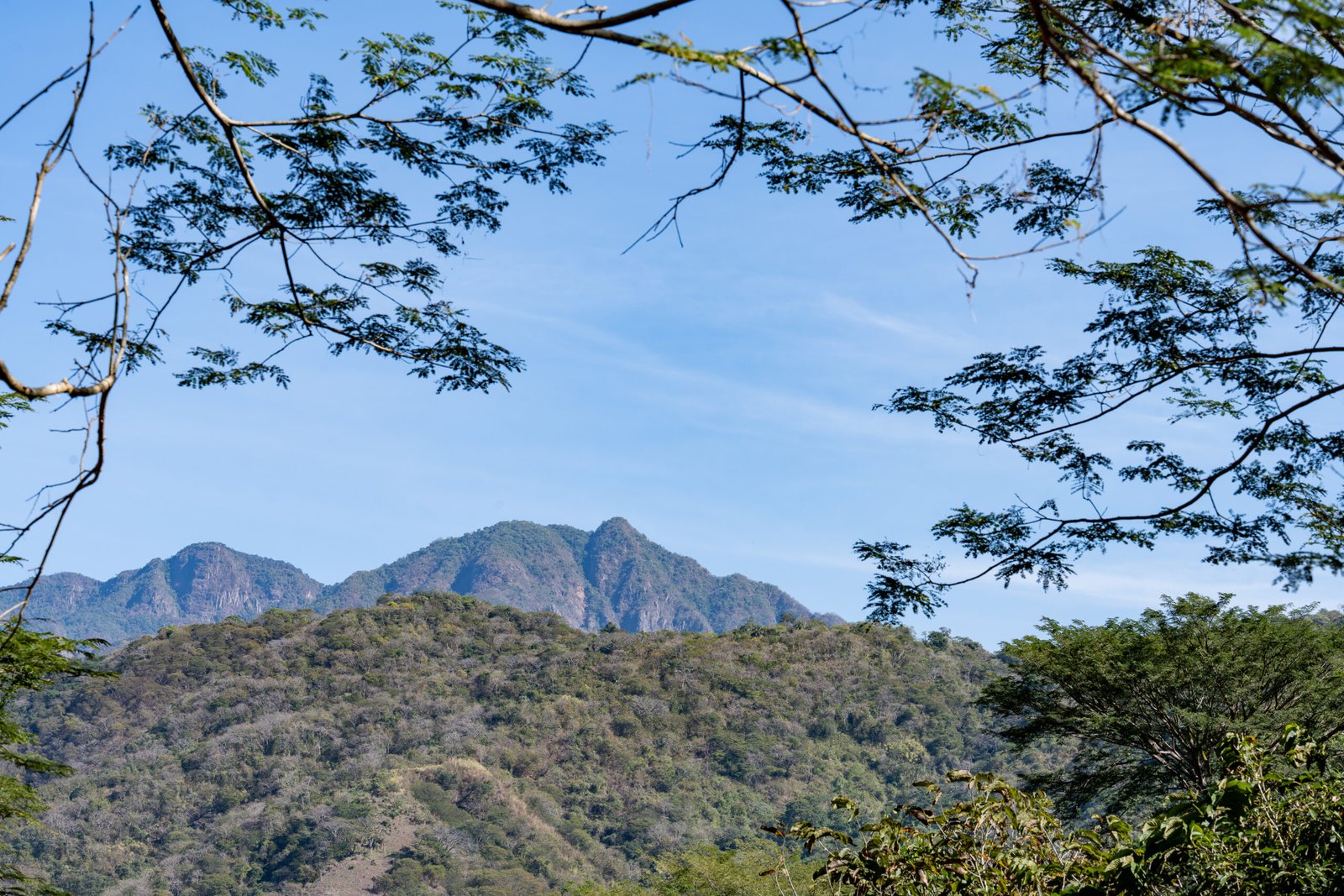 Inicia foros de consulta pública para proteger la Sierra de Cacoma