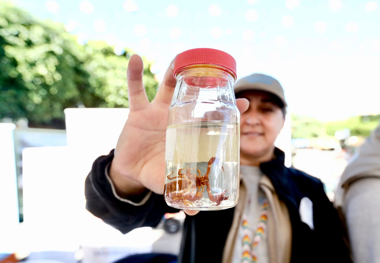 SSJ alerta por picaduras de alacrán 