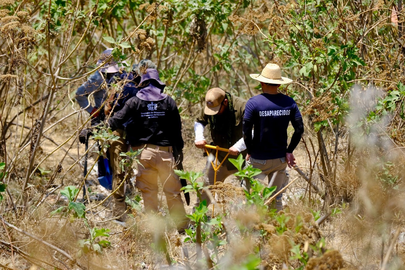 Localizan restos óseos en el Cerro del Cuatro