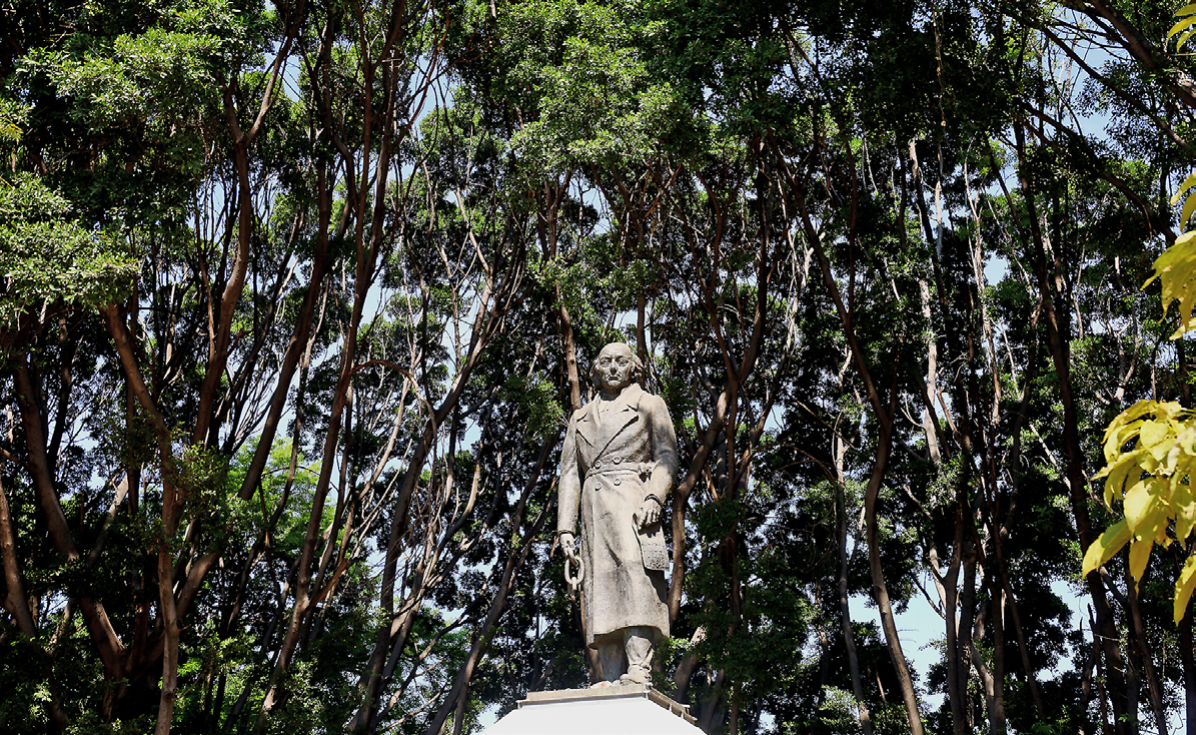 Pone en marcha “Bosques sin Muérdago” en el AMG