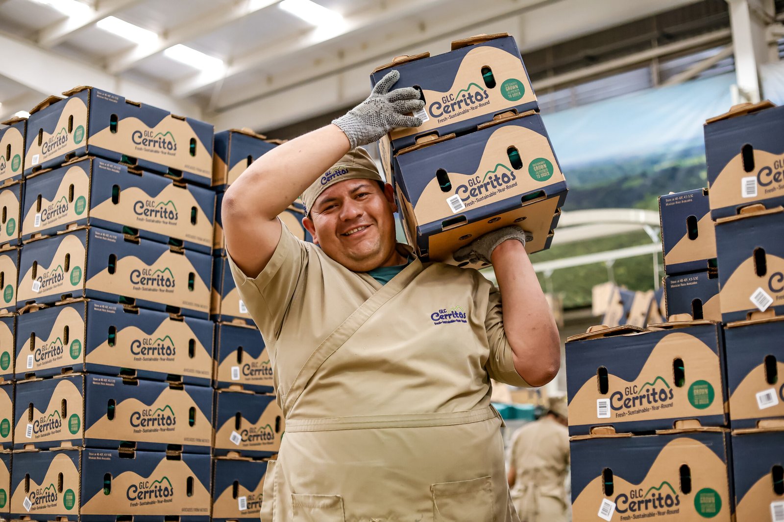 Jalisco buscará Récord Guinness con el guacamole más grande del mundo