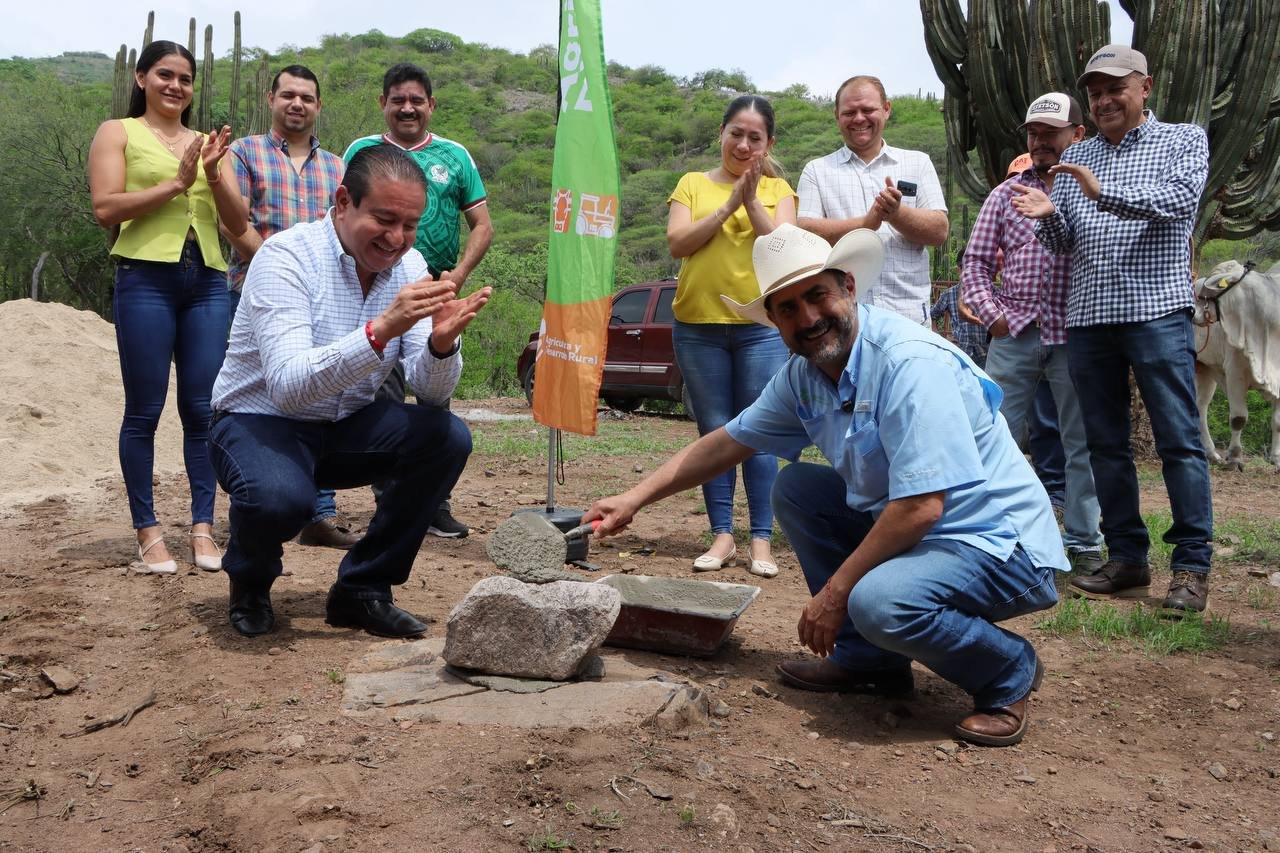 Aplican estrategia integral contra plagas en cultivos de la Costa Sur
