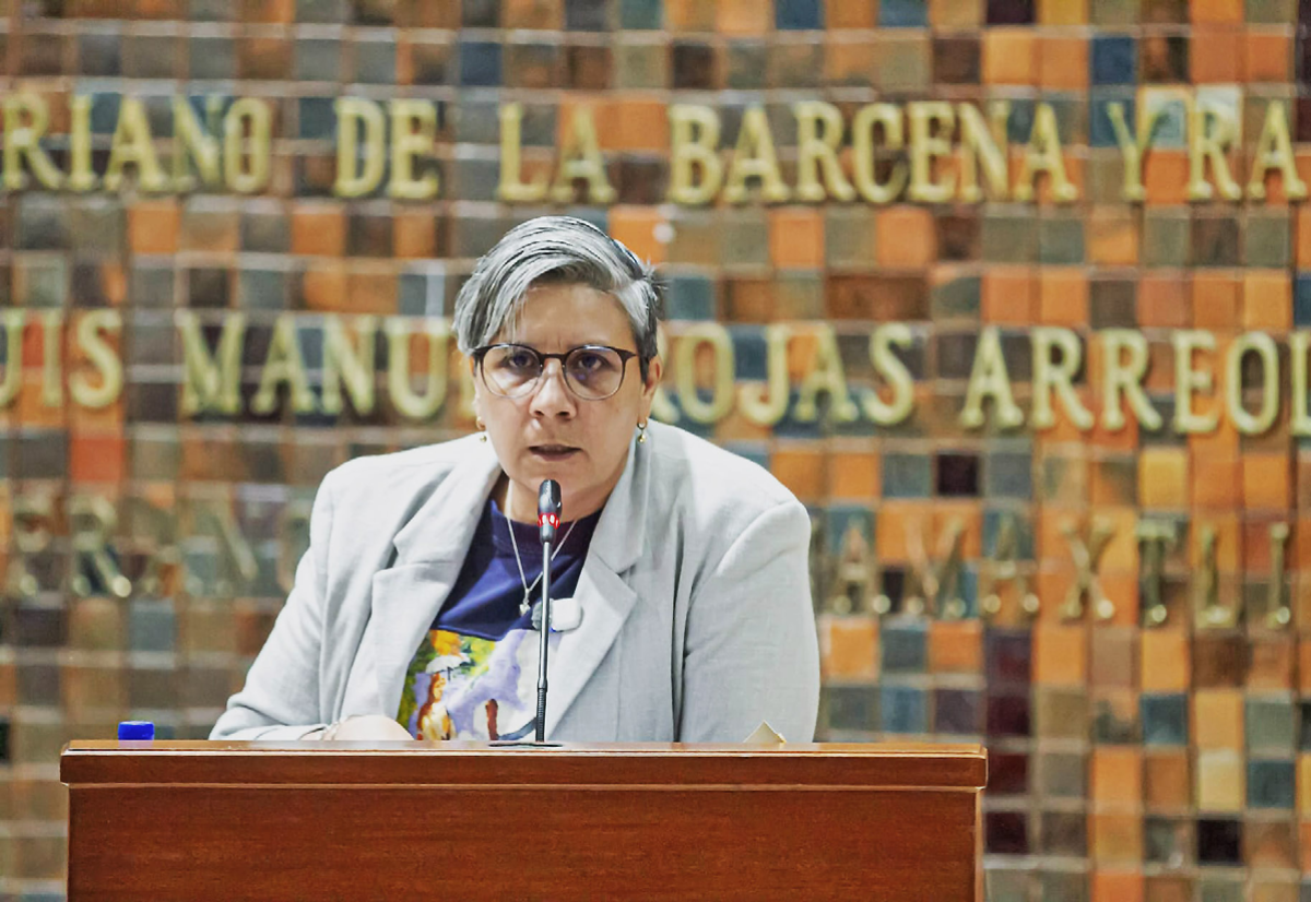 Diputada exhorta a la CFE a informar acciones ante apagones en Jalisco