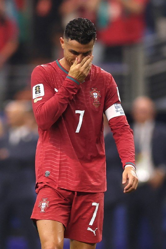 EL BICHO SE VA DEL MUNDIAL