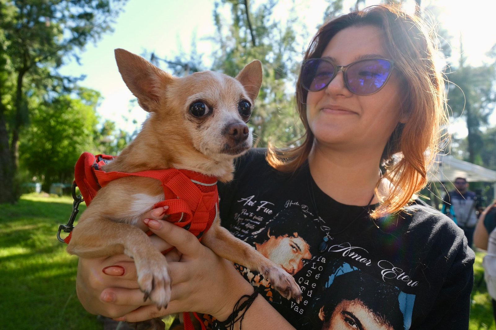 SSJ aplicará 629 mil vacunas contra la rabia en perros y gatos