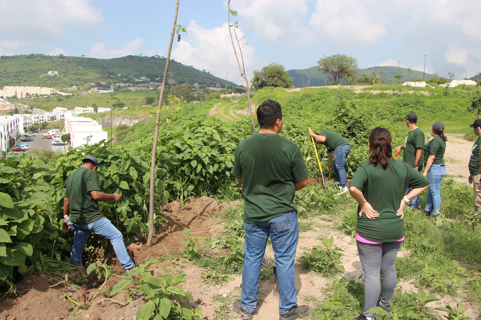 Prevé Tlajo plantar mil árboles en Bosque Urbano
