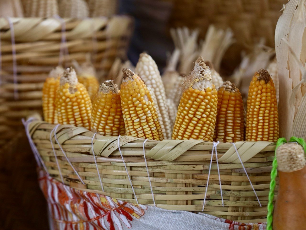 Jalisco y Nebraska se unen para innovar el campo