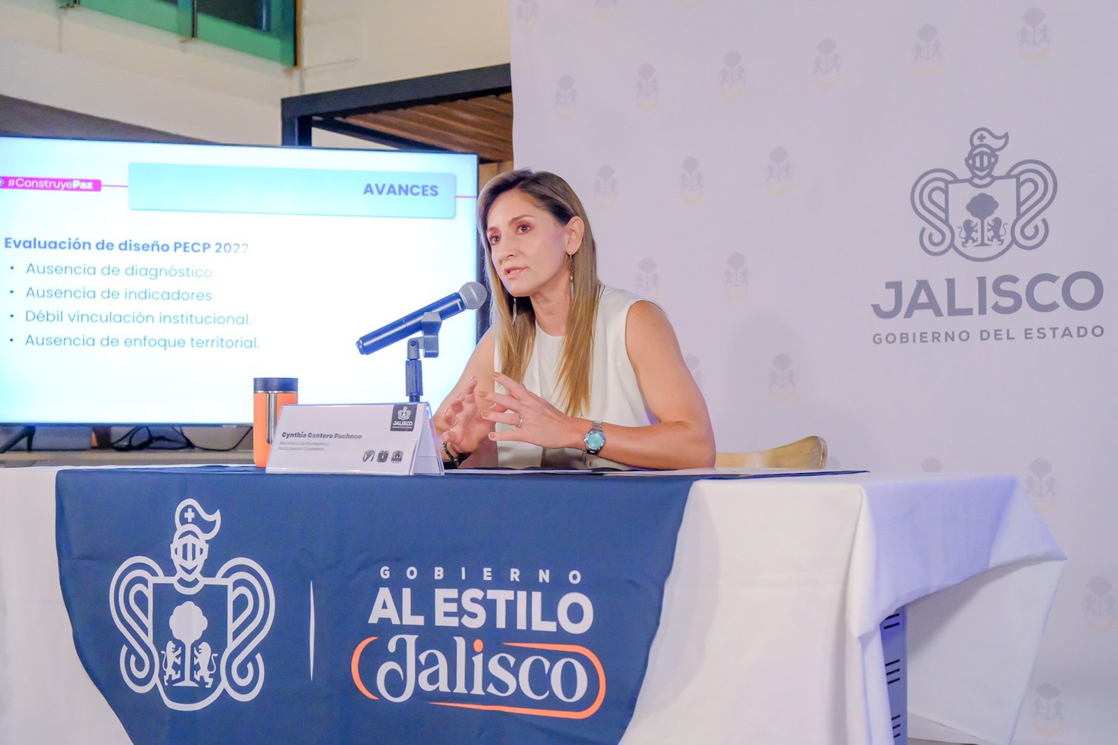 Abrirán consulta para crear Programa de Cultura de Paz