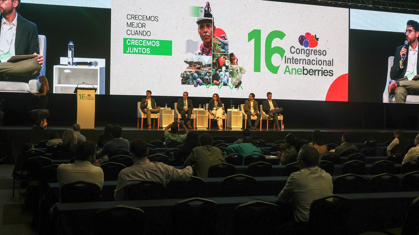 Preparan certificado laboral para exportaciones de berries