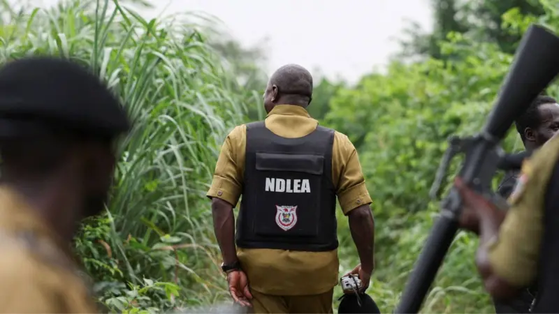 Operación metanfetamina: Cárteles mexicanos transforman África en su nueva fábrica clandestina