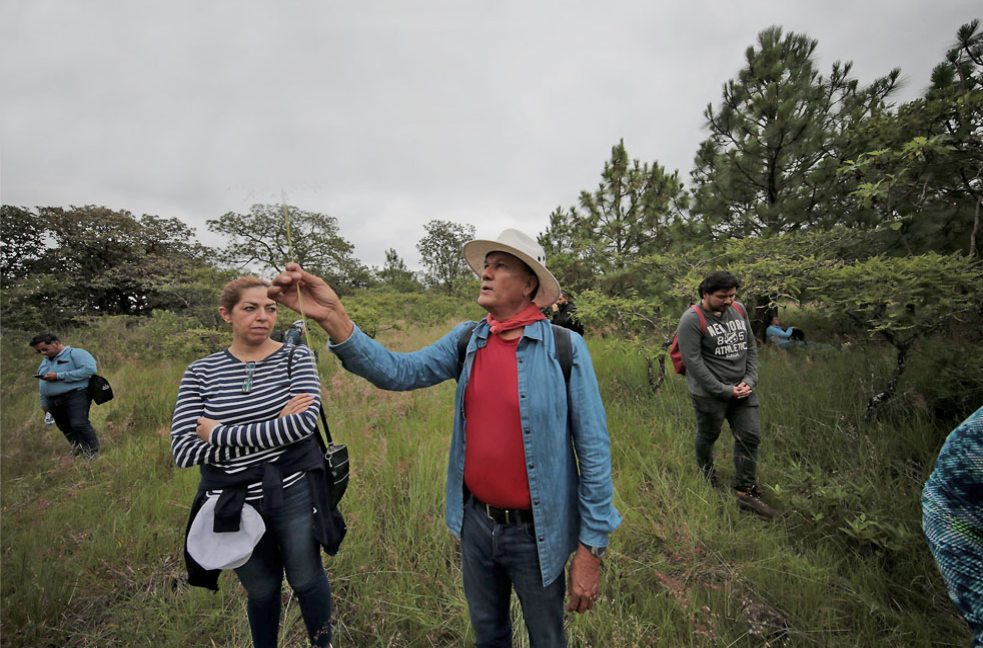 CUCBA impulsa jornada de reforestación en La Primavera con especies nativas