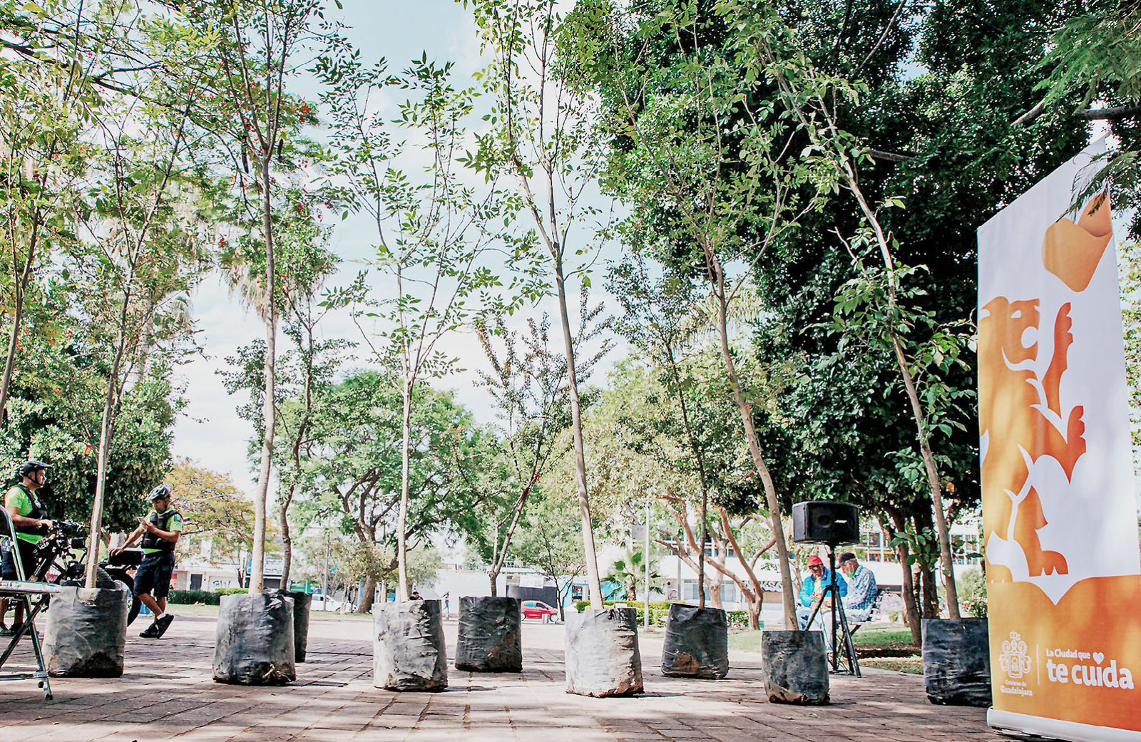 Guadalajara abre convocatoria para plantar árboles en colonias