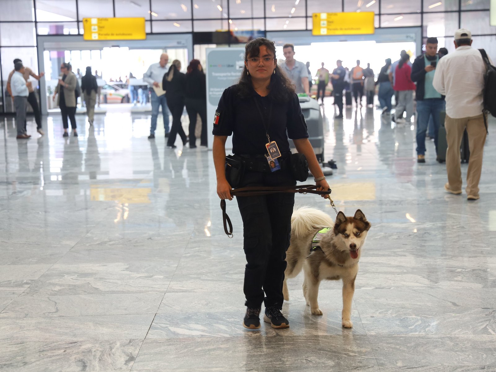 Incorporan binomios caninos para reforzar vigilancia sanitaria en aeropuertos