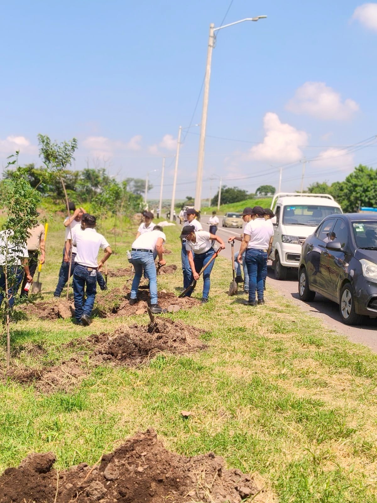 Plantan 200 árboles en el Circuito Metropolitano VFG