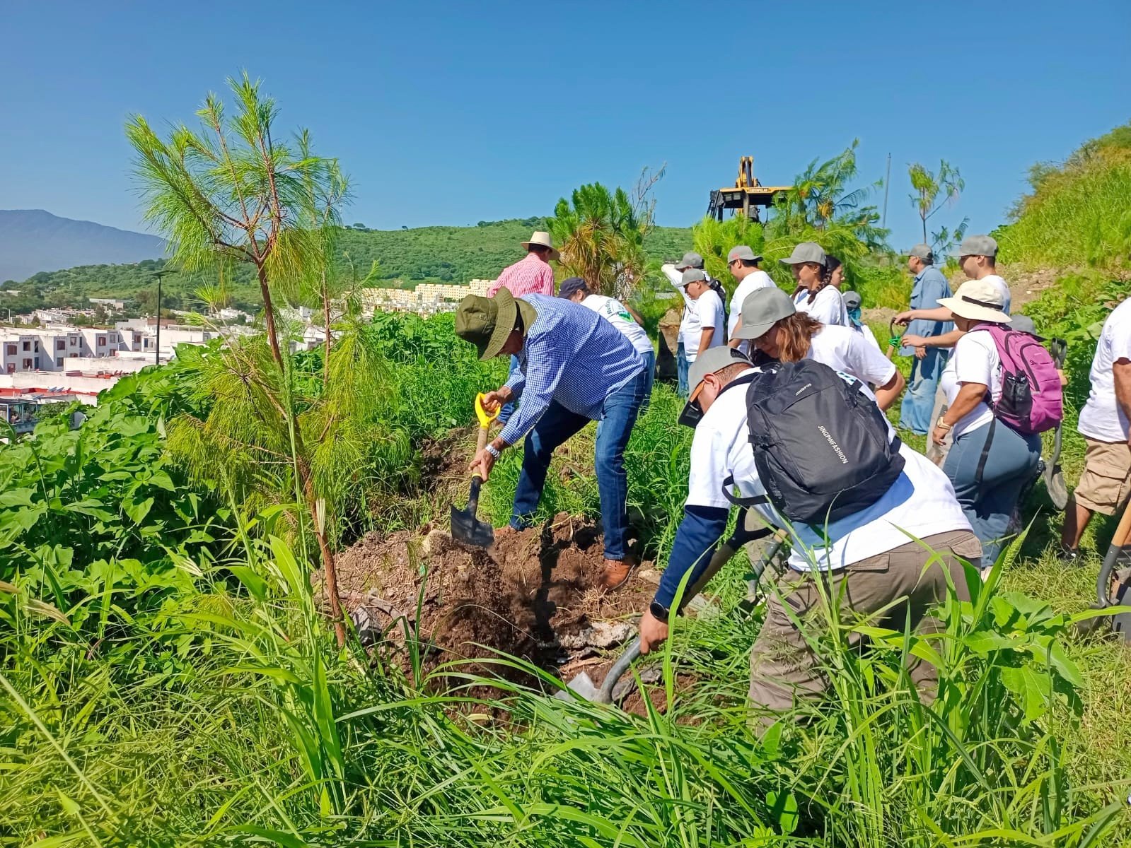 Plantan 150 pinos en el Bosque Urbano de Tlajo