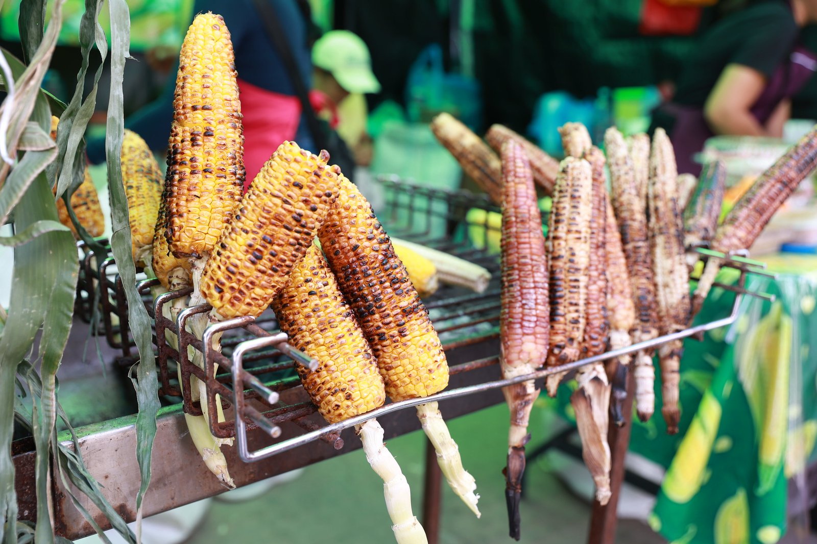 Feria del Elote de Tesistán espera a miles de visitantes
