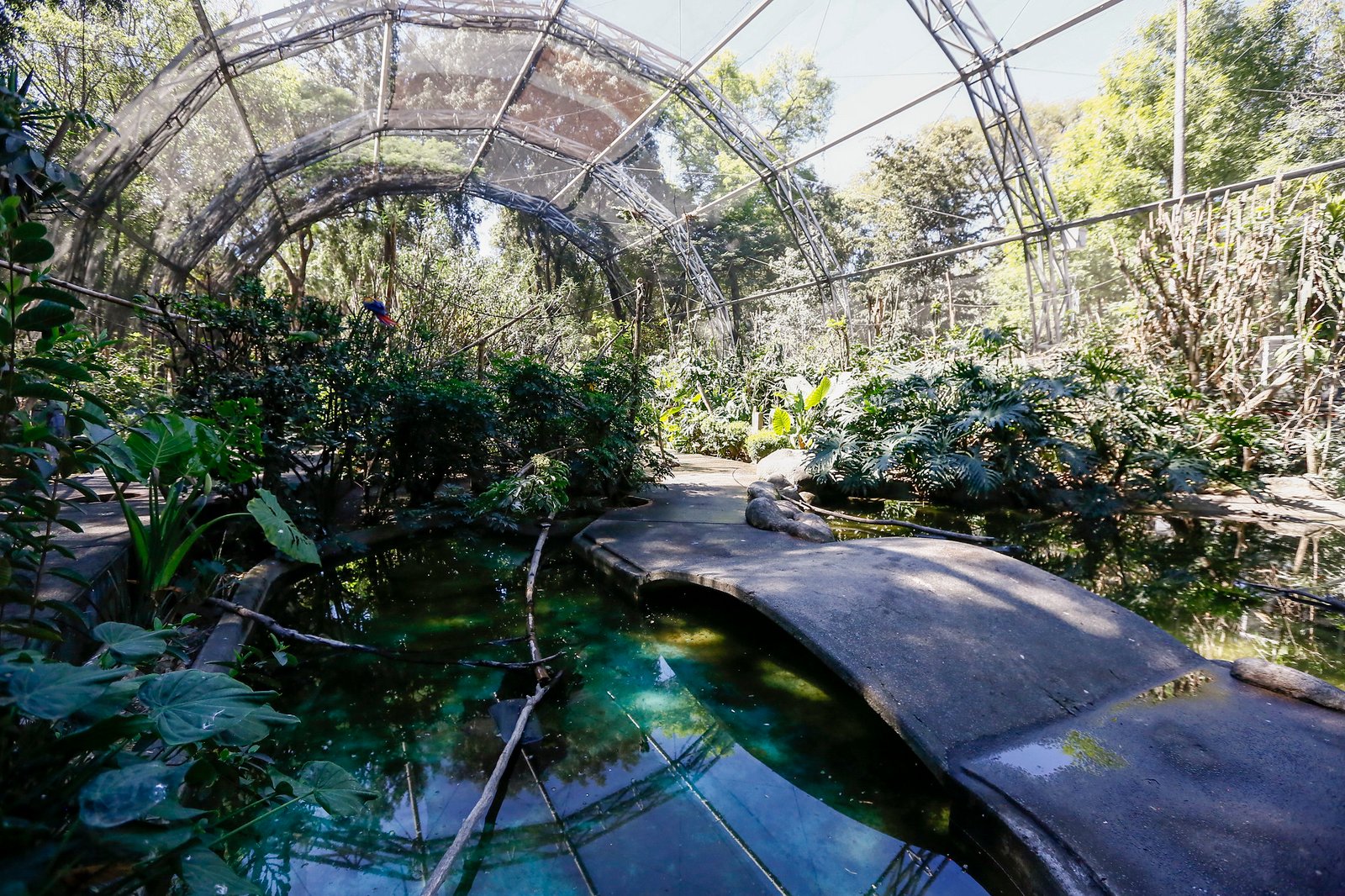 Ofrecen recorridos para conocer la biodiversidad de parques urbanos