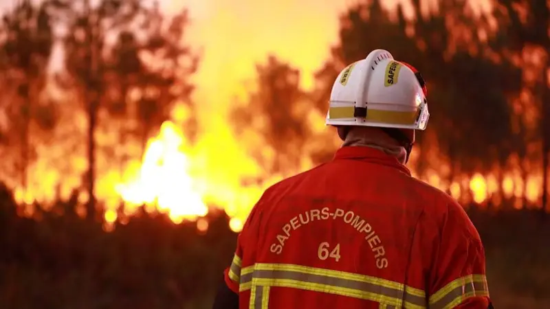 "El planeta que conocimos desapareció": la cruda advertencia de un climatólogo