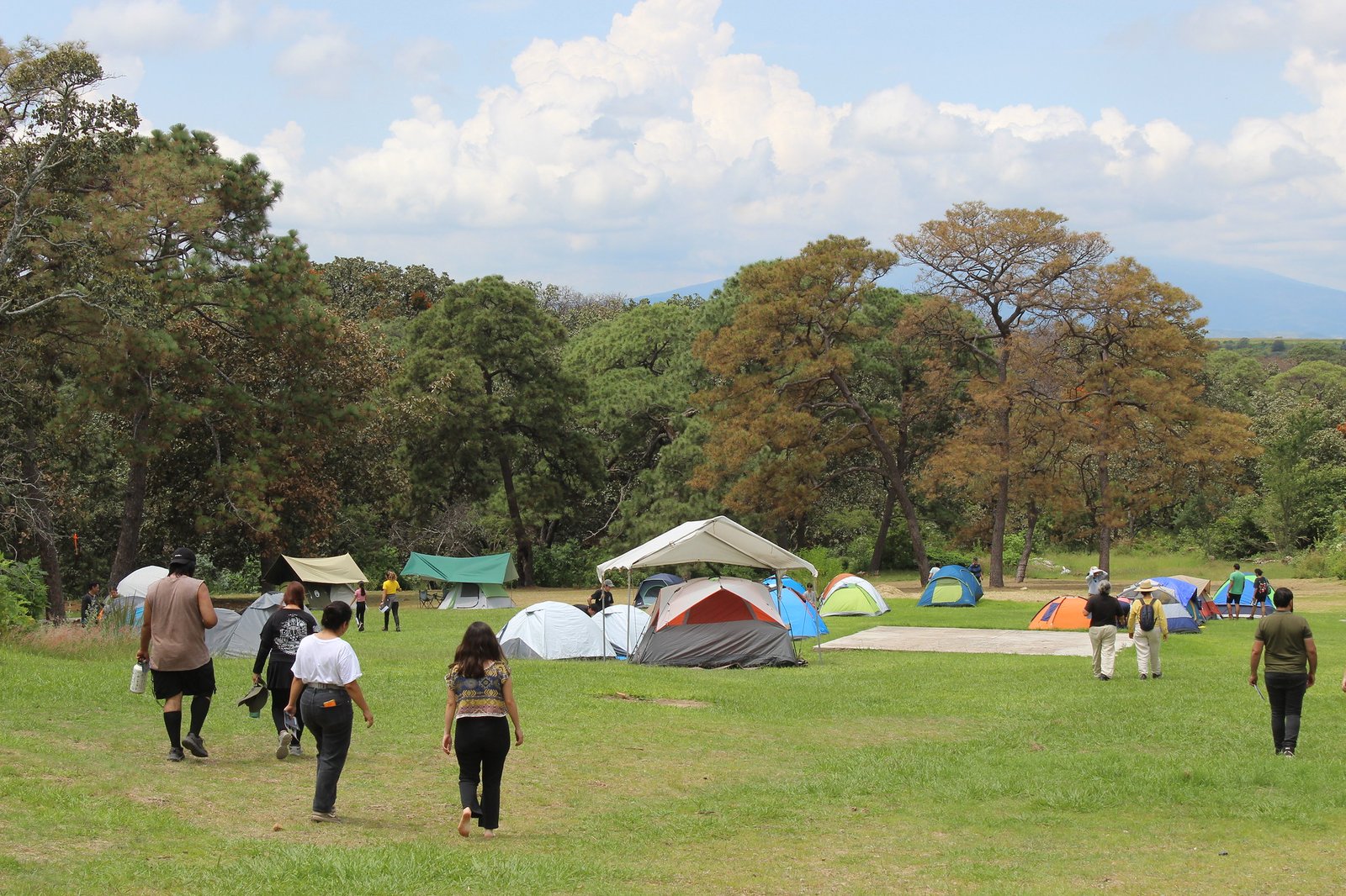Cumple La Primavera 40 ediciones de campamento ambiental