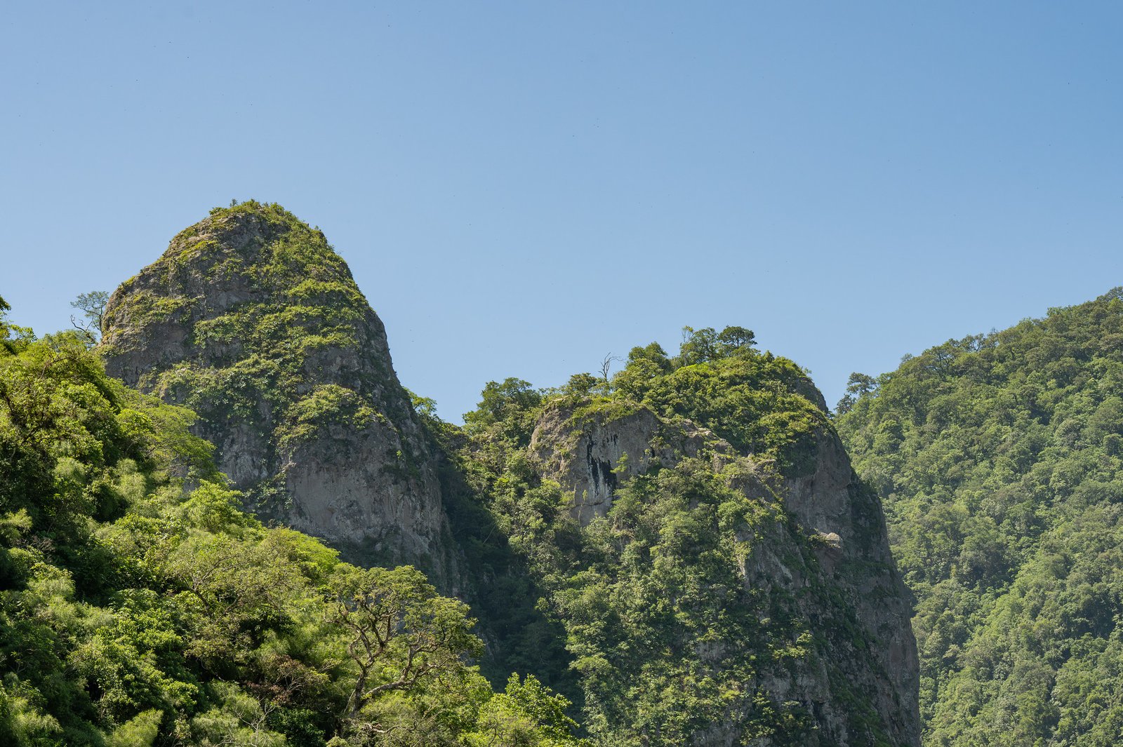Sierra de Cacoma es declarada ANP