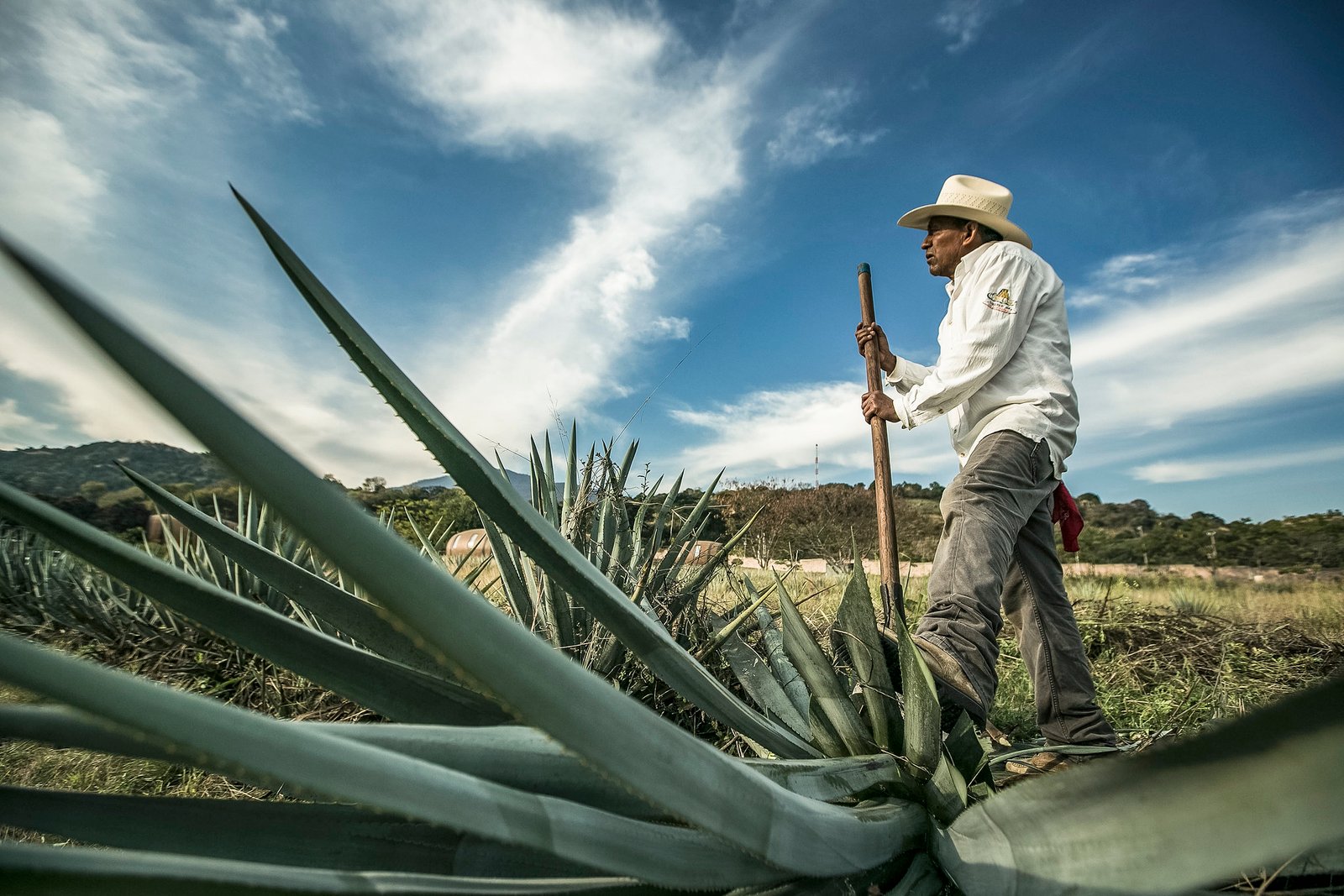 Lanzan distintivo para productos con denominación de origen