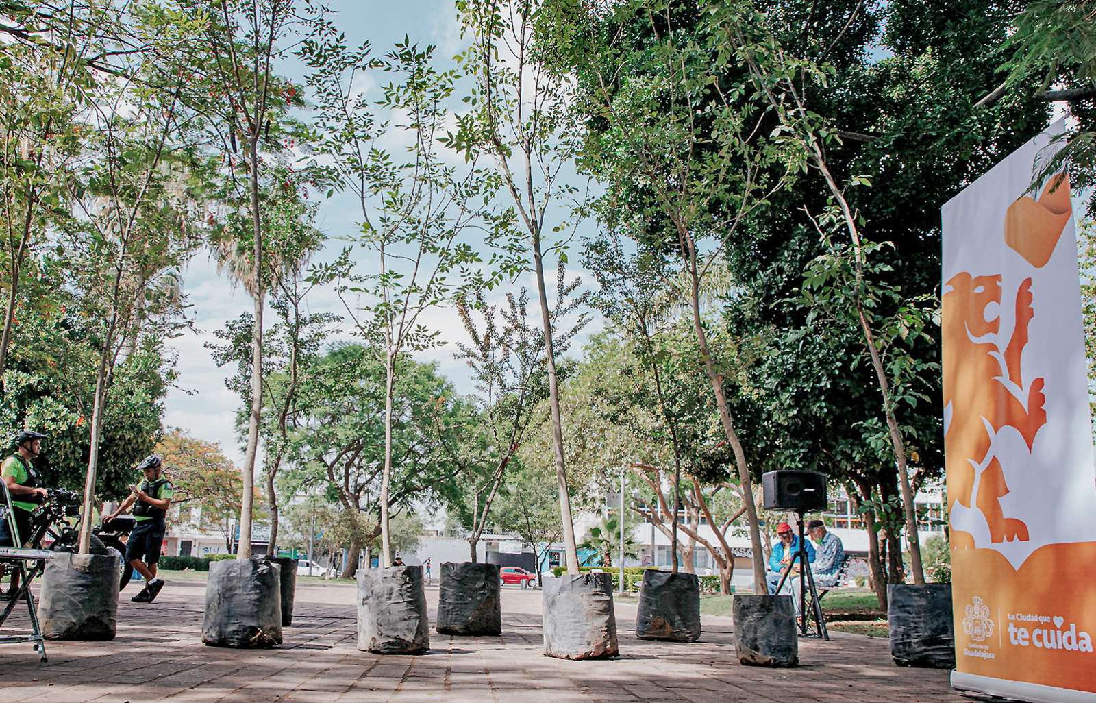 Abre Guadalajara registro para formar arboristas ciudadanos