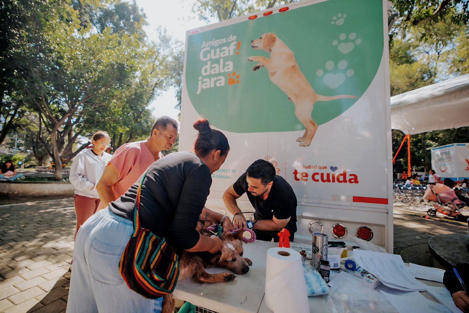 Firulais realiza más de mil 300 esterilizaciones en Guadalajara