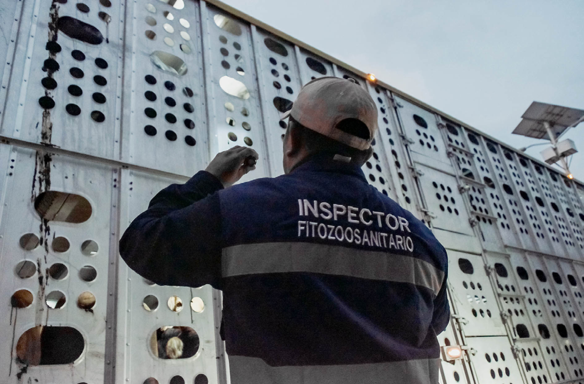 Senasica frena cargamentos con plagas y enfermedades